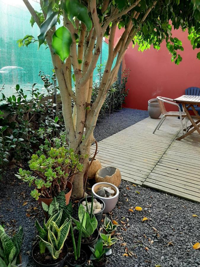 קפלס Casa Das Yucas - Patio Apartment מראה חיצוני תמונה