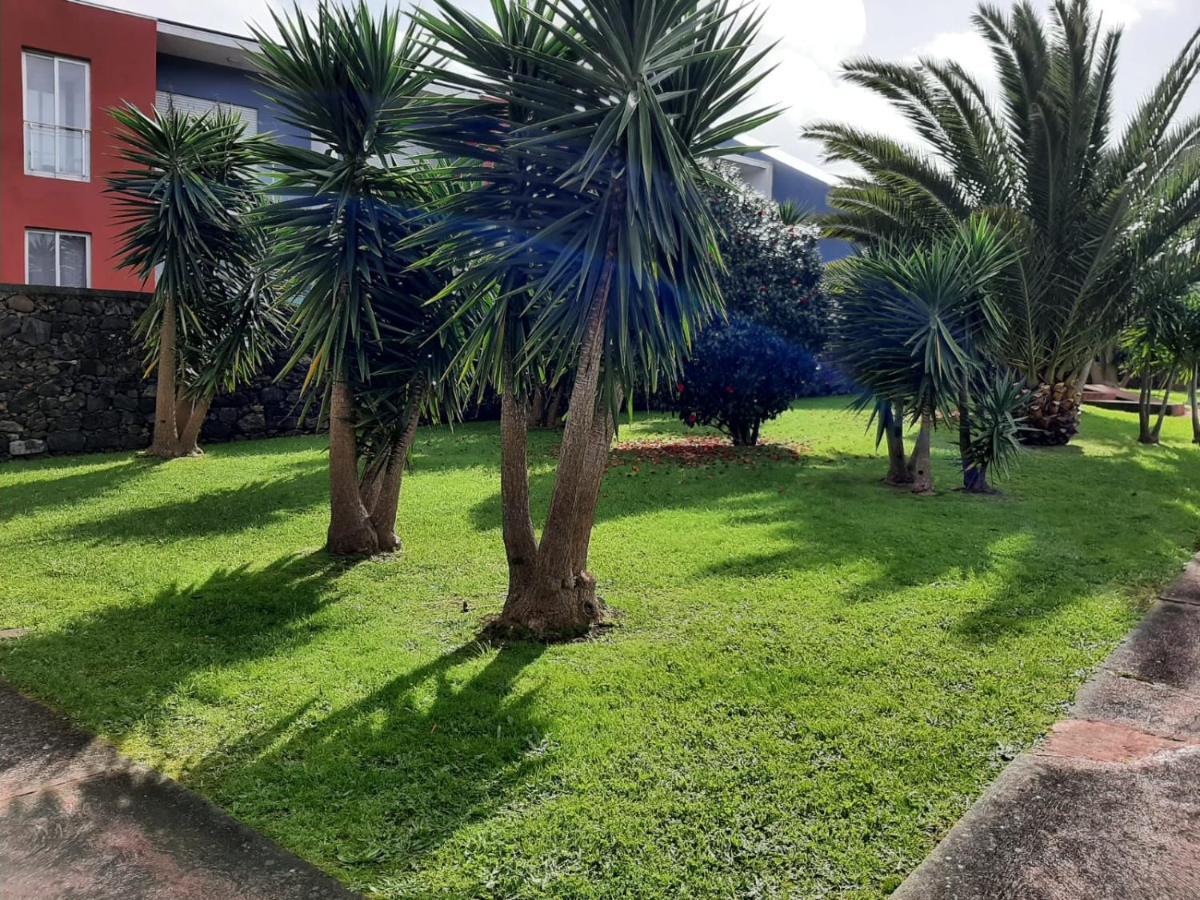קפלס Casa Das Yucas - Patio Apartment מראה חיצוני תמונה
